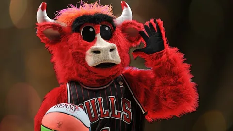 The Real Cost Behind a Team Mascot Program